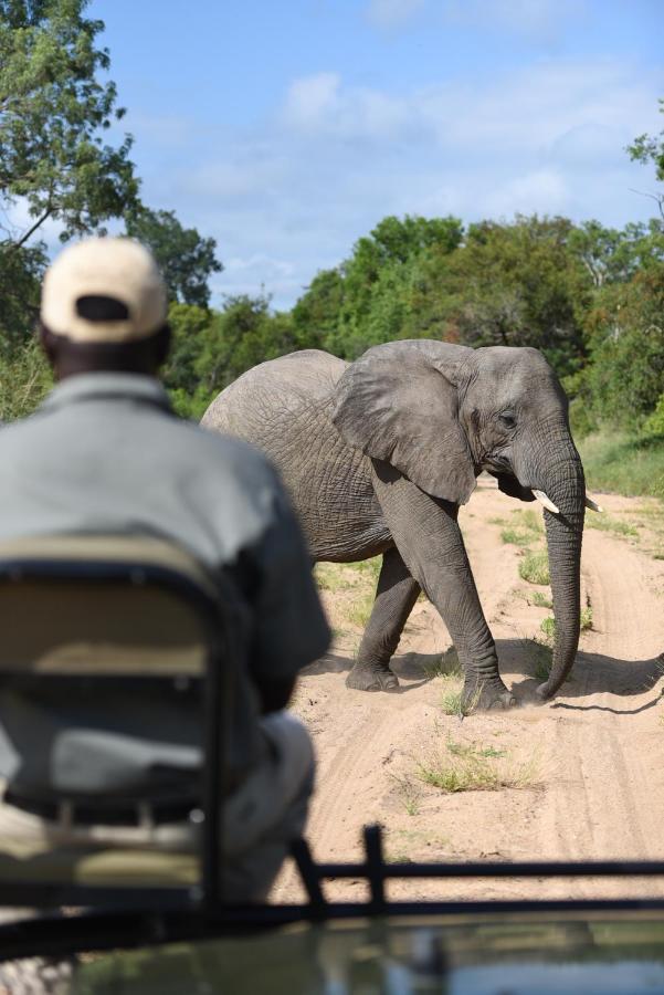 Shumbalala Game Lodge ธอร์นีบุชเกมรีเซิร์ฟ ภายนอก รูปภาพ