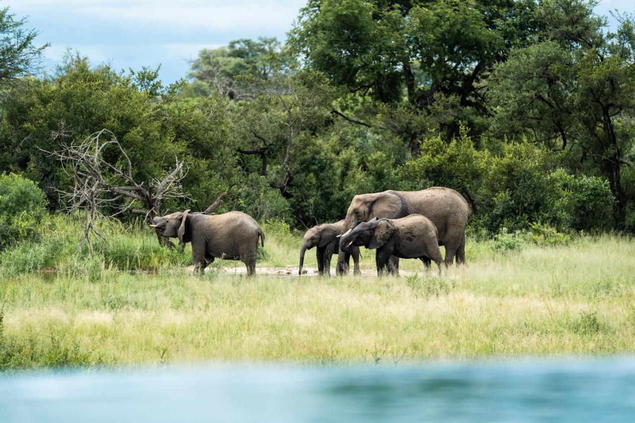 Shumbalala Game Lodge ธอร์นีบุชเกมรีเซิร์ฟ ภายนอก รูปภาพ